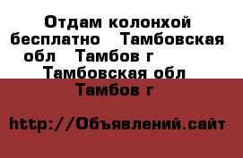 Отдам колонхой бесплатно - Тамбовская обл., Тамбов г.  »    . Тамбовская обл.,Тамбов г.